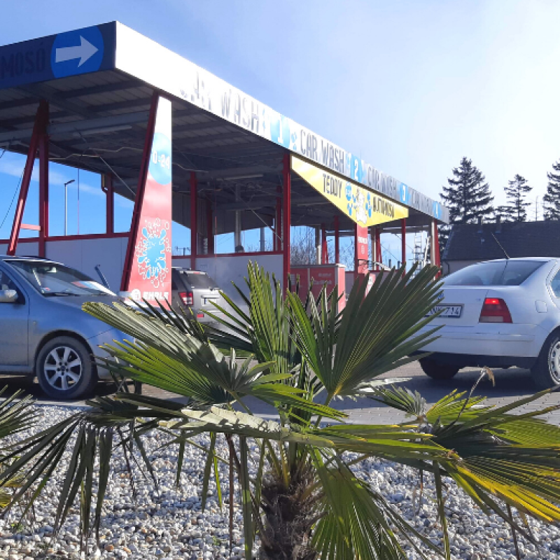 sopron bovites_ehrle